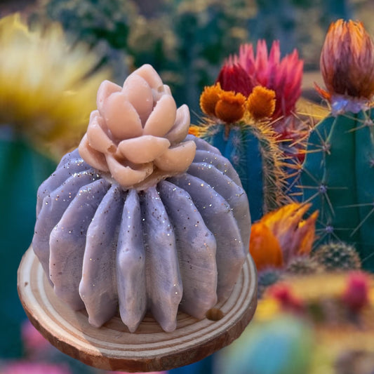 ⭐️Pumpkin Pie decorative cactus candle