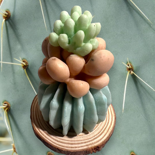 ⭐️Pumpkin Pie decorative cactus candles